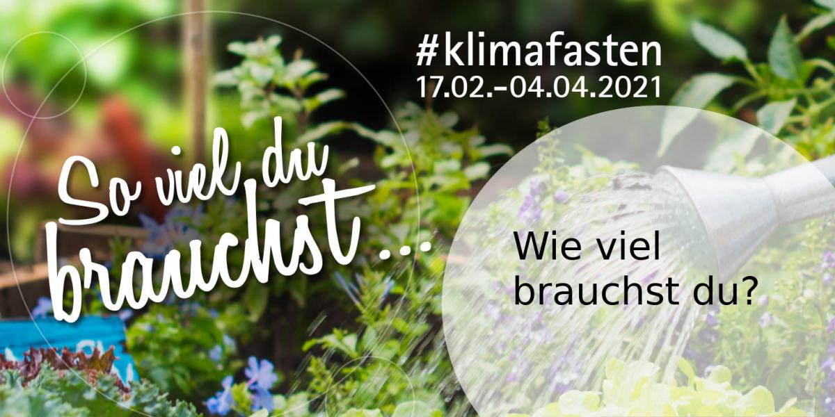 wieviel brauchst du?